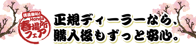 ���K�f�B�[���[�Ȃ�w����������ƈ��S